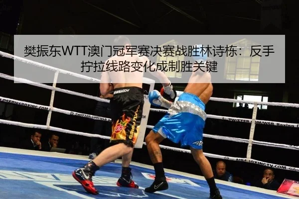 樊振东WTT澳门冠军赛决赛战胜林诗栋：反手拧拉线路变化成制胜关键